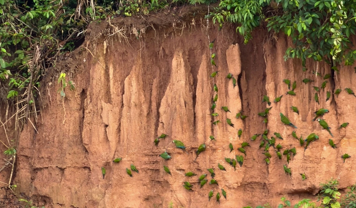 How long to spend in the Peruvian Amazon?