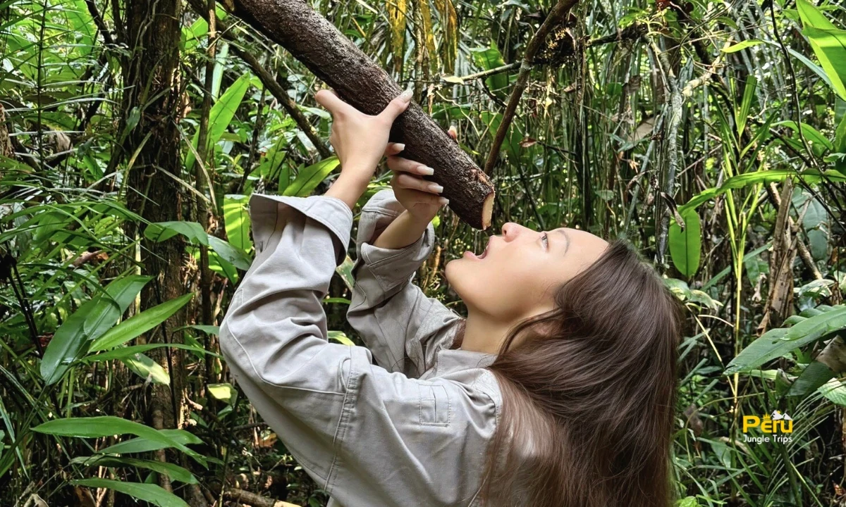 Iquitos Amazon Tour Package