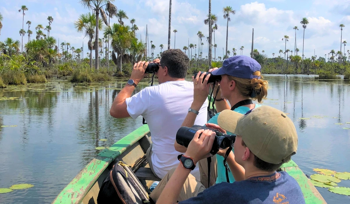 Quelle est la meilleure partie de l'Amazonie péruvienne à visiter ? Tambopata - Quelle est la meilleure partie de l'Amazonie à visiter