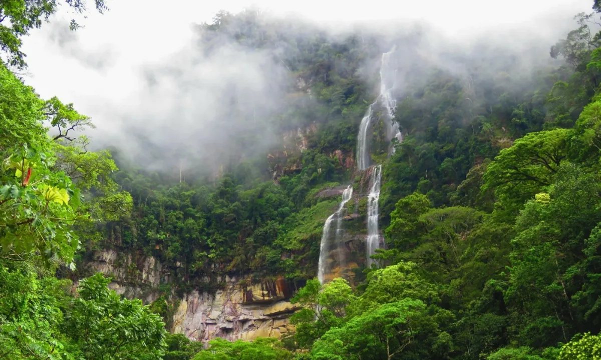 10 Lugares Turísticos de la Selva Peruana para Visitar