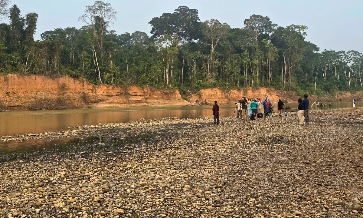 Top Birdwatching Tours in the Peruvian Amazon from the US