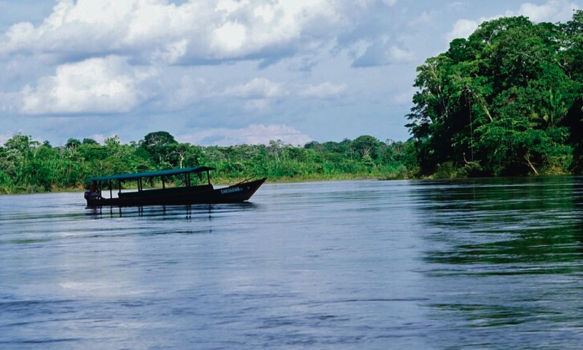 Top Birdwatching Tours in the Peruvian Amazon from the US