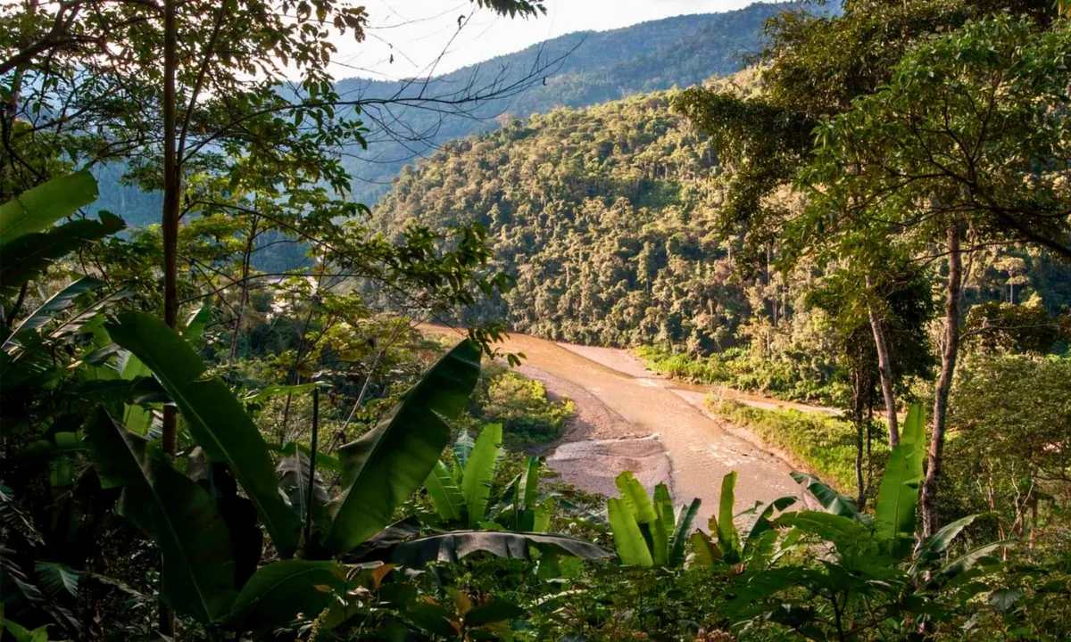 10 Lugares Turísticos de la Selva Peruana para Visitar