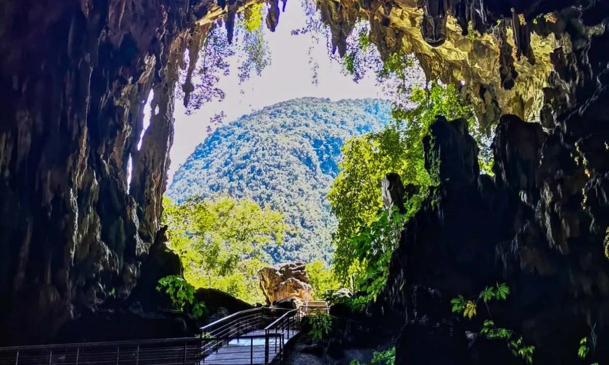 10 Lugares Turísticos de la Selva Peruana para Visitar