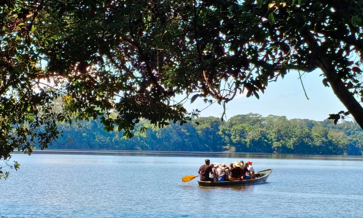 Best Time to Visit Tambopata: Weather and Ideal Season